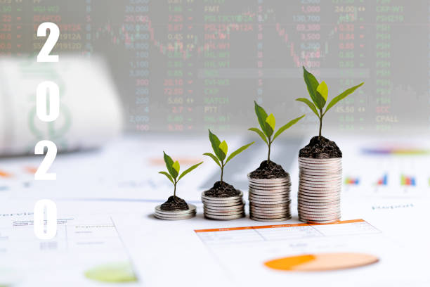 2020-yat-r-m-i-in-para-sikke-y-n-b-y-yen-yeni-y-l-2020-y-l-nda-ekonomik-ve-ticari